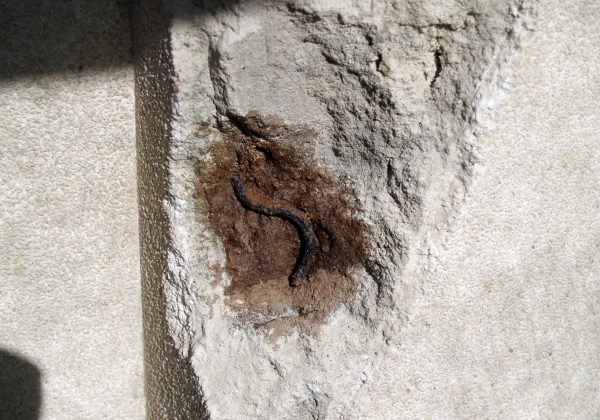 Alçados Av Roma 22