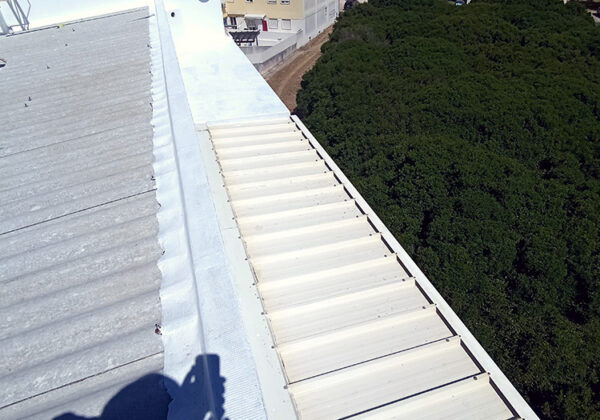 portfolio-id-029_031