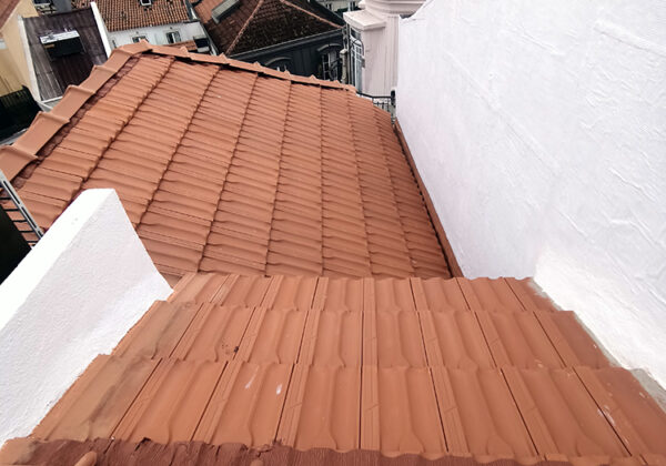 portfolio-id-037_114
