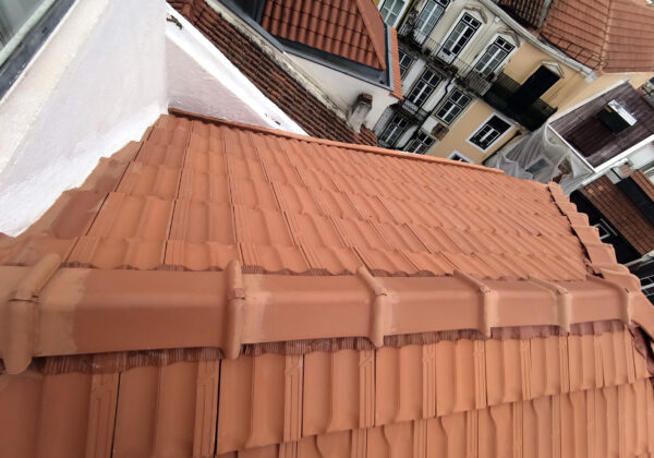portfolio-id-037_115